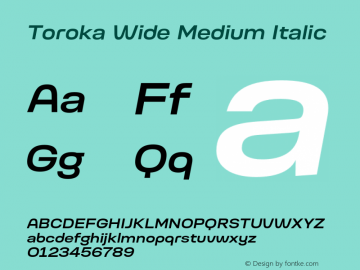 Toroka Wide Medium Italic Version 001.000 April 2021图片样张