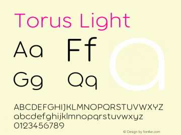 Torus Light Version 1.000;PS 001.000;hotconv 1.0.88;makeotf.lib2.5.64775图片样张