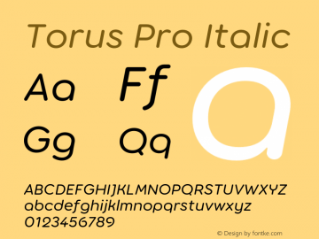 Torus Pro Italic Version 1.000;FEAKit 1.0图片样张