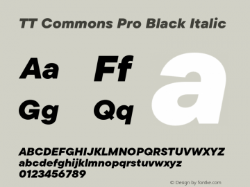 TT Commons Pro Black Italic Version 3.000.09052021图片样张