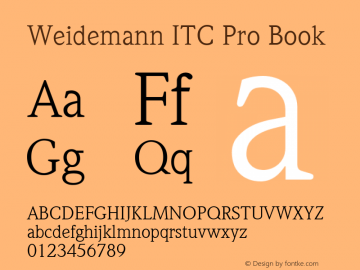 Weidemann ITC Pro Book Version 1.00 Build 1000图片样张