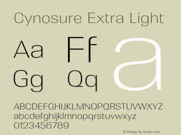 Cynosure Extra Light Version 3.000;FEAKit 1.0图片样张