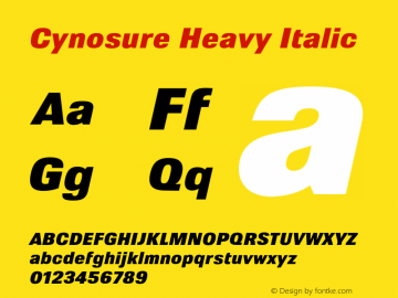 Cynosure Heavy Italic Version 3.000;FEAKit 1.0图片样张