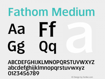 Fathom Medium Version 3.000;hotconv 1.0.109;makeotfexe 2.5.65596图片样张