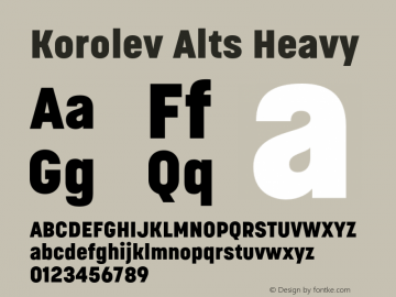 Korolev Alternates Heavy Version 8.000;FEAKit 1.0图片样张