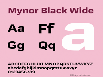 Mynor Black Wide Version 001.000 January 2019图片样张