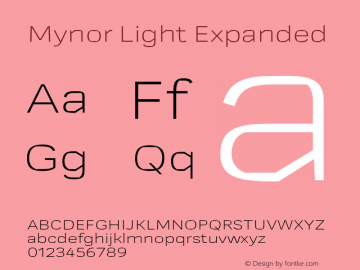 Mynor Light Expanded Version 001.000 January 2019图片样张