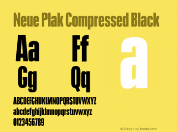 Neue Plak Compressed Black Version 1.00, build 9, s3图片样张