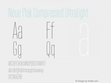 Neue Plak Compressed UltraLight Version 1.00, build 9, s3图片样张