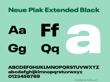 Neue Plak Extended Black Version 1.00, build 9, s3图片样张