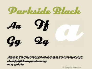 Parkside Black Version 1.007;PS 001.007;hotconv 1.0.88;makeotf.lib2.5.64775图片样张