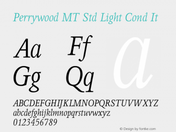 Perrywood MT Std Light Cond It Version 2.00 Build 1000图片样张