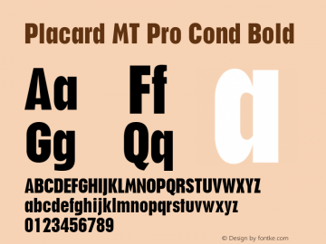 Placard MT Pro Cond Bold Version 2.00 Build 1000图片样张