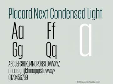 Placard Next Cond Light Version 1.10, build 16, s3图片样张