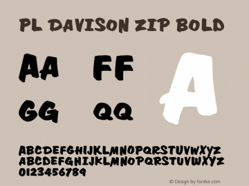 PL Davison Zip Bold Version 1.00图片样张