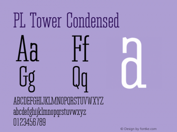 PL Tower Condensed Version 1.00图片样张