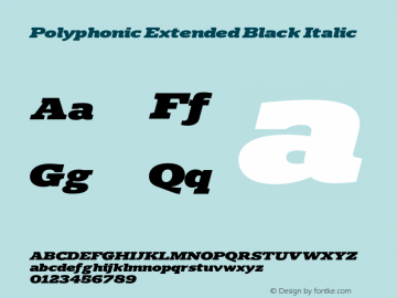 Polyphonic Extended Black Italic Version 1.000;PS 001.000;hotconv 1.0.88;makeotf.lib2.5.64775图片样张