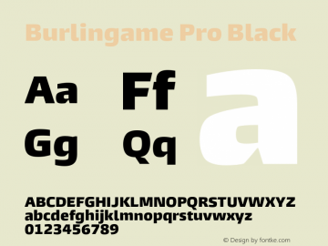 Burlingame Pro Black Version 1.000图片样张