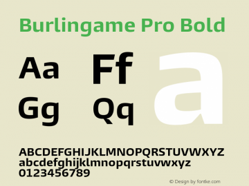 Burlingame Pro Bold Version 1.000图片样张