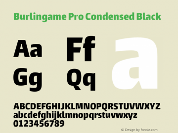 Burlingame Pro Condensed Black Version 1.000图片样张