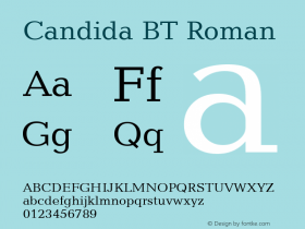Candida BT Roman Version 1.01 emb4-OT图片样张