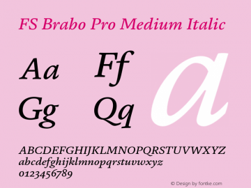 FS Brabo Pro Medium Italic Version 1.02;PS 001.001;hotconv 1.0.88;makeotf.lib2.5.64775图片样张