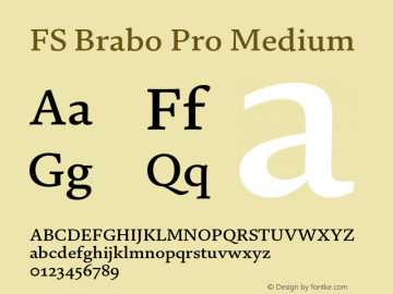 FS Brabo Pro Medium Version 1.02;PS 001.001;hotconv 1.0.88;makeotf.lib2.5.64775图片样张