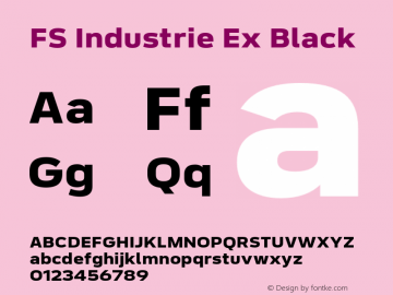 FS Industrie Ex Black Version 1.03;PS 001.002;hotconv 1.0.88;makeotf.lib2.5.64775图片样张