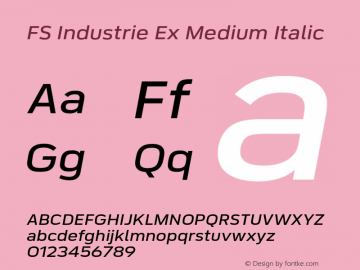 FS Industrie Ex Medium Italic Version 1.03;PS 001.002;hotconv 1.0.88;makeotf.lib2.5.64775图片样张