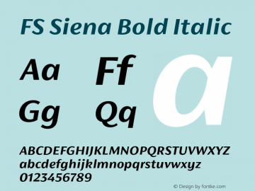 FS Siena Bold Italic Version 1.02;PS 001.001;hotconv 1.0.88;makeotf.lib2.5.64775图片样张