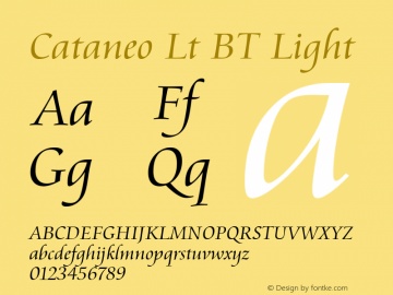 Cataneo Lt BT Light Version 1.01 emb4-OT图片样张