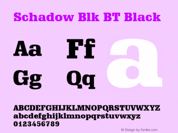 Schadow Blk BT Black Version 1.01 emb4-OT图片样张