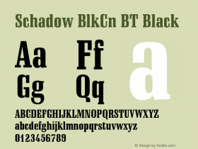 Schadow BlkCn BT Black Version 1.01 emb4-OT图片样张
