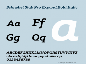 Schnebel Slab Pro Expand Bold Italic Version 1.000;hotconv 1.0.105;makeotfexe 2.5.65592图片样张