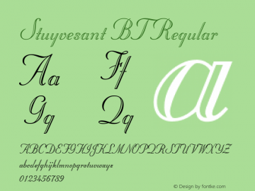 Stuyvesant BT Version 1.01 emb4-OT图片样张