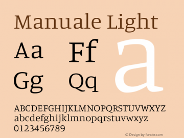 Manuale Light Version 1.002图片样张
