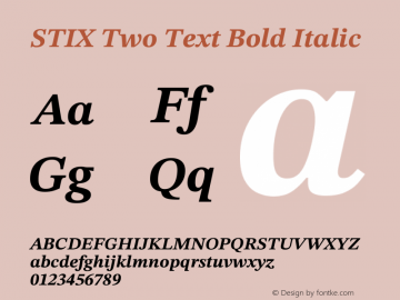 STIX Two Text Bold Italic Version 2.13 b171图片样张