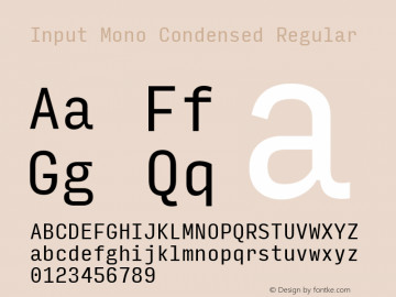 InputMonoCondensed Version 0.000;PS 0.0;hotconv 1.0.72;makeotf.lib2.5.5900图片样张