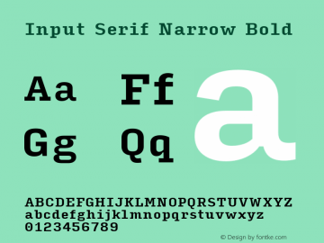 InputSerifNarrow Bold Version 0.000;PS 0.0;hotconv 1.0.72;makeotf.lib2.5.5900图片样张