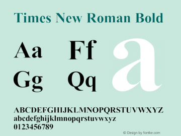 Times New Roman Bold Version 5.01.3x图片样张