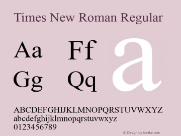 Times New Roman Version 5.05 CH图片样张