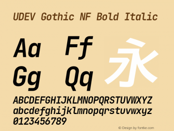 UDEV Gothic NF Bold Italic 0.0.10; ttfautohint (v1.8.4.7-5d5b) -l 6 -r 45 -G 200 -x 14 -D latn -f none -a nnn -W -S -X 