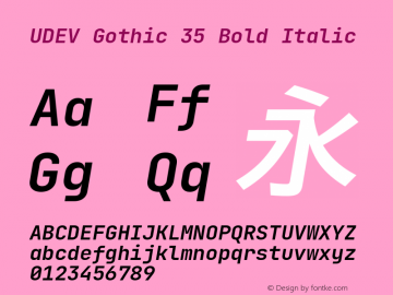 UDEV Gothic 35 Bold Italic 0.0.10; ttfautohint (v1.8.4.7-5d5b) -l 6 -r 45 -G 200 -x 14 -D latn -f none -a nnn -W -S -X 
