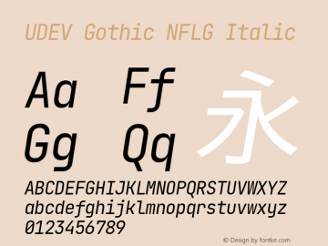 UDEV Gothic NFLG Italic 0.0.10; ttfautohint (v1.8.4.7-5d5b) -l 6 -r 45 -G 200 -x 14 -D latn -f none -a nnn -W -S -X 