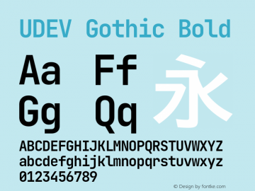 UDEV Gothic Bold 1.0.0; ttfautohint (v1.8.4.7-5d5b) -l 6 -r 45 -G 200 -x 14 -D latn -f none -a nnn -W -S -X 