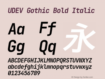 UDEV Gothic Bold Italic 1.0.0; ttfautohint (v1.8.4.7-5d5b) -l 6 -r 45 -G 200 -x 14 -D latn -f none -a nnn -W -S -X 