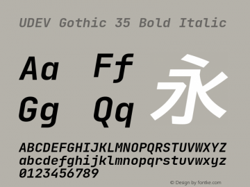 UDEV Gothic 35 Bold Italic 1.0.0; ttfautohint (v1.8.4.7-5d5b) -l 6 -r 45 -G 200 -x 14 -D latn -f none -a nnn -W -S -X 