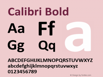 Calibri Bold Version 6.26图片样张