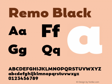 Remo Black Version 4.001图片样张