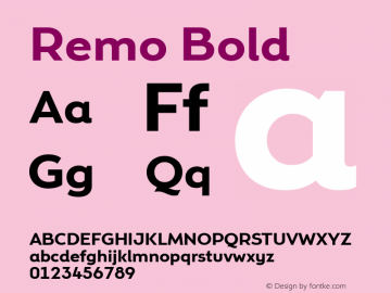 Remo Bold Version 4.001图片样张